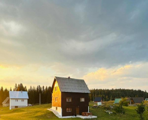 Village house Popovic